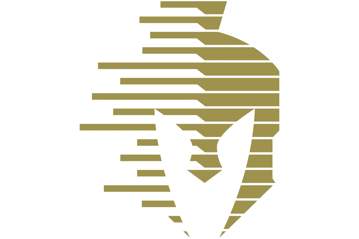 Dynamic Strength: Modern Security Logo Concept