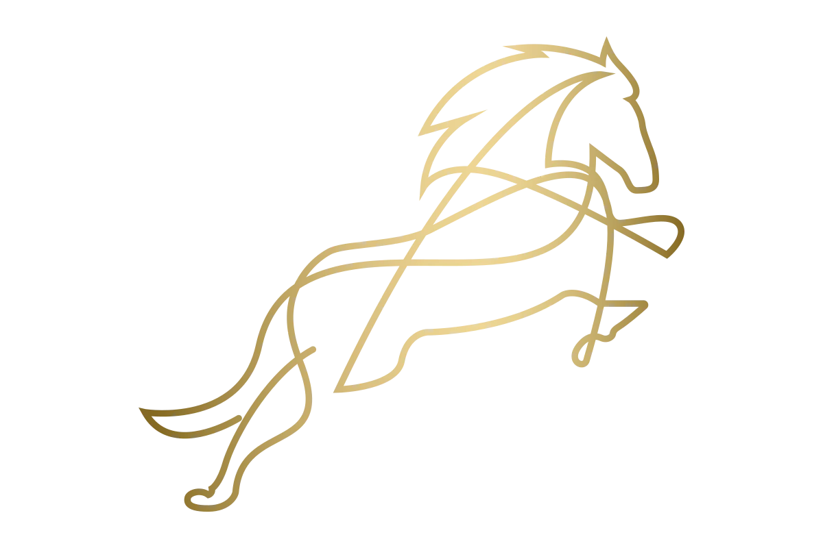 Elegant Minimalist Horse Leaping Abstract Art