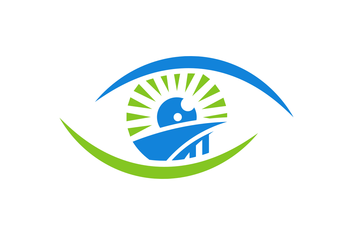 Eye-catching Insurance Services with a Modern Touch