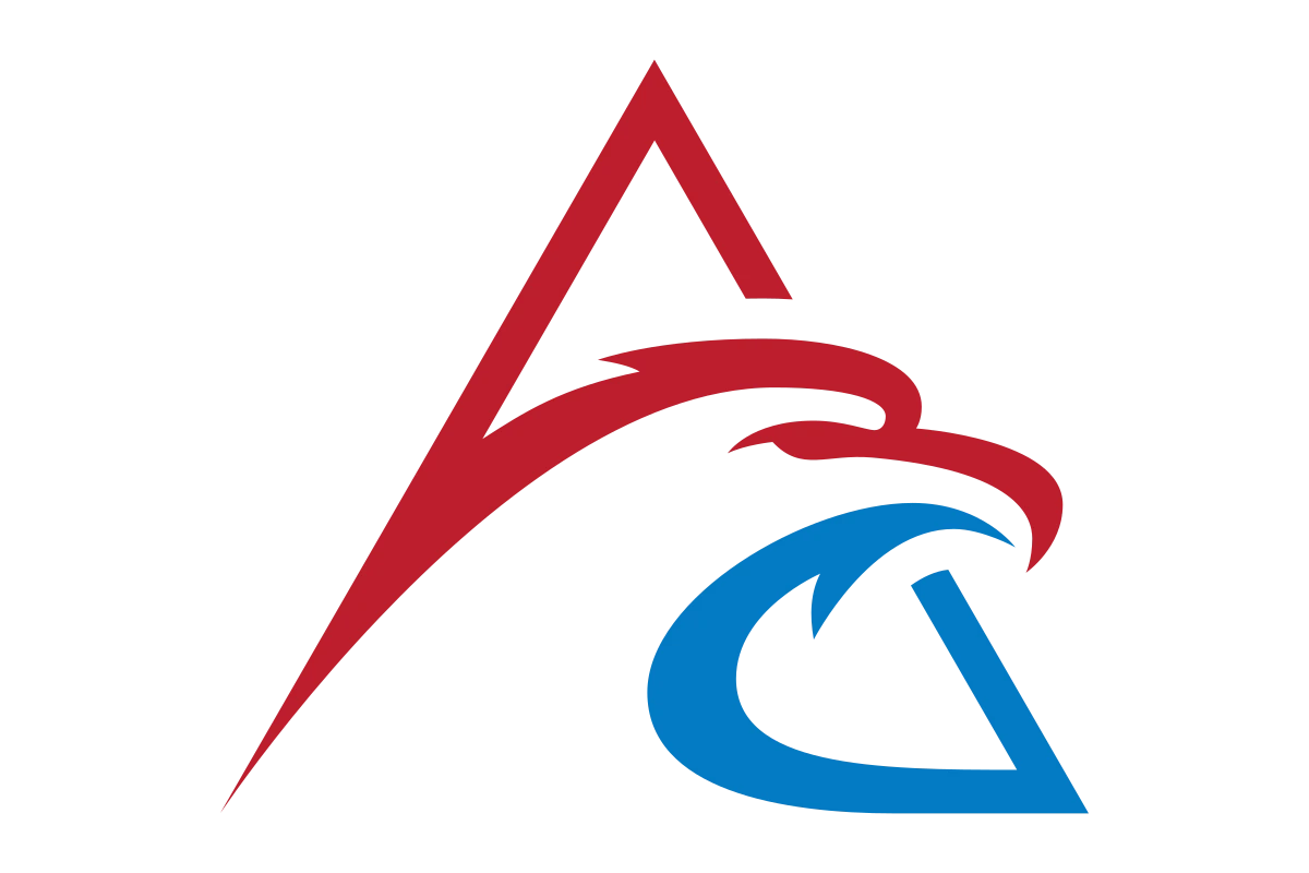 Innovative Eagle Logo Design for Modern Brands