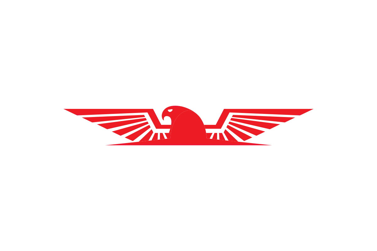 Fierce Red Eagle Graphic Symbol for Strength and Power