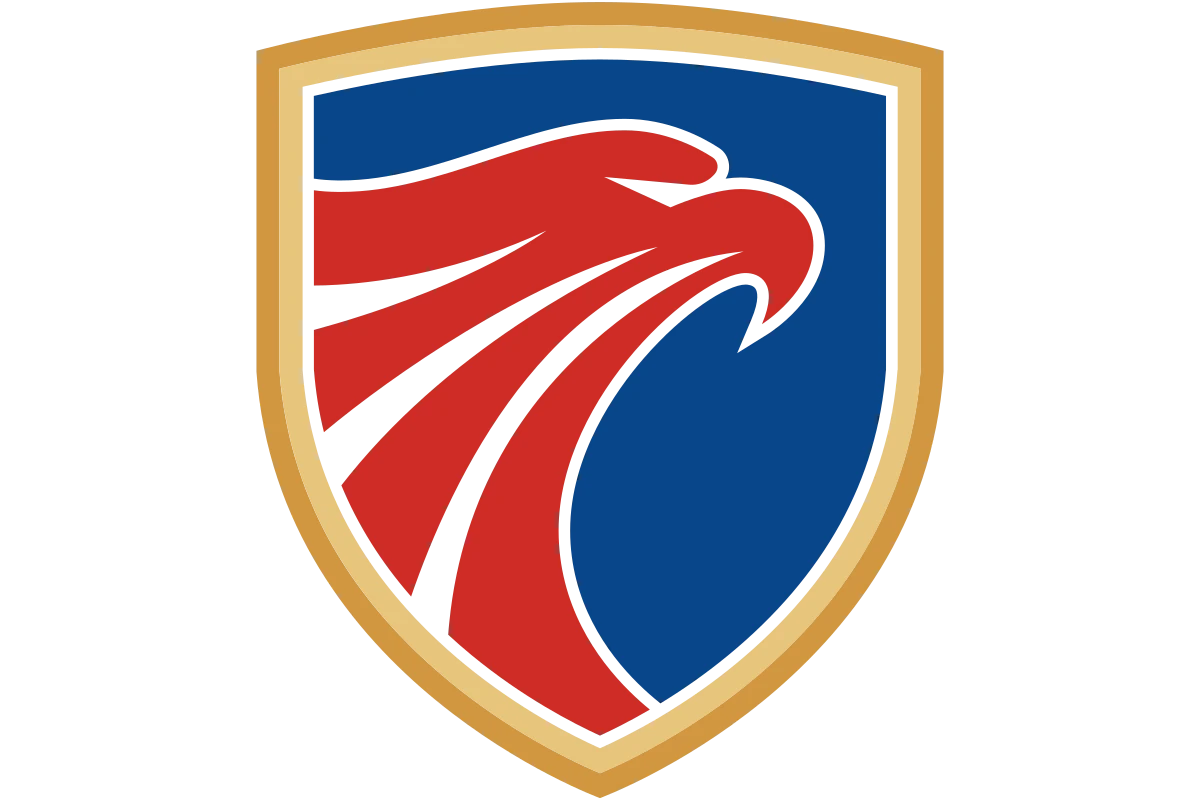 Modern Eagle Shield Symbol for Strength and Security