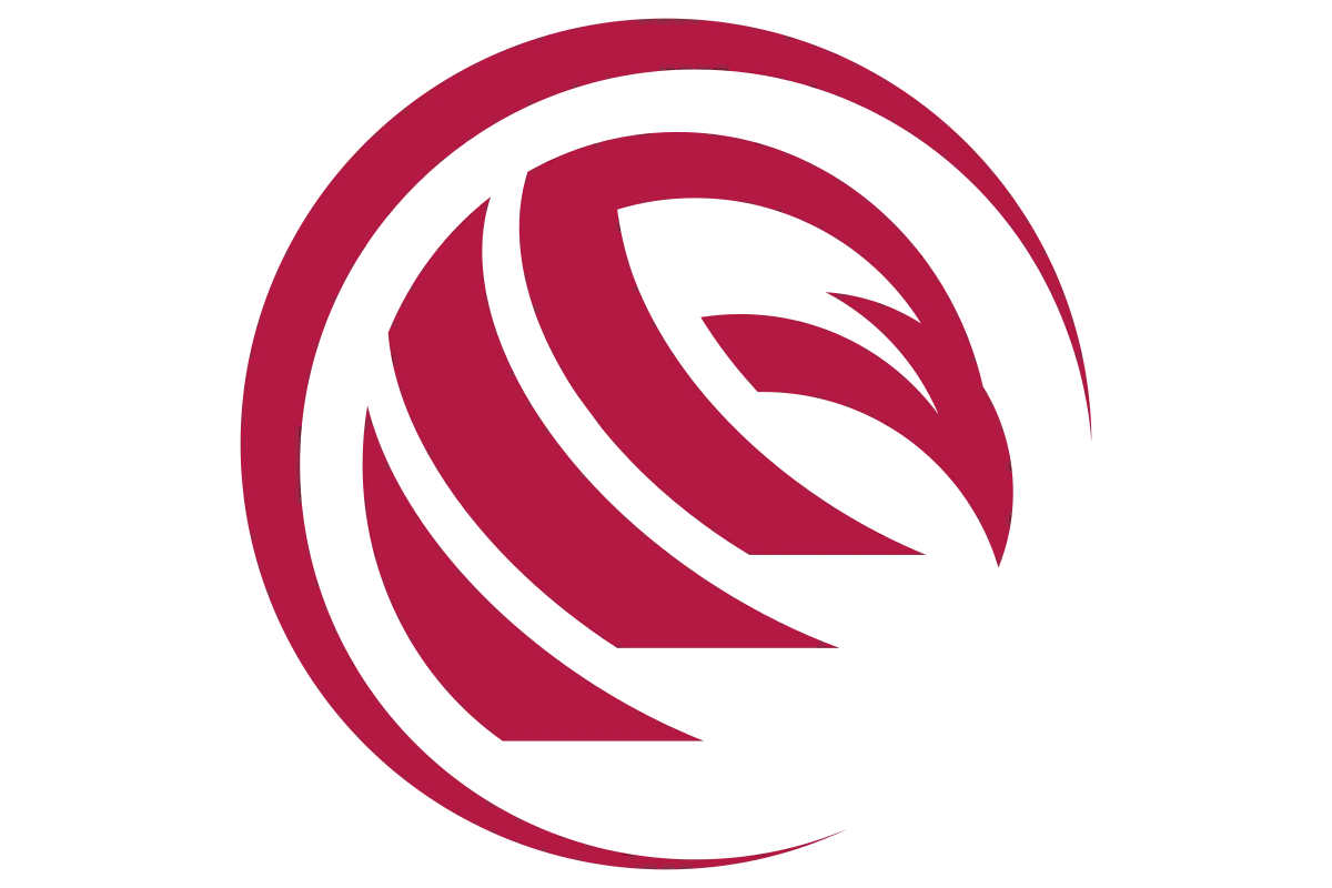 Stylish Eagle Emblem | Modern Minimalist Design