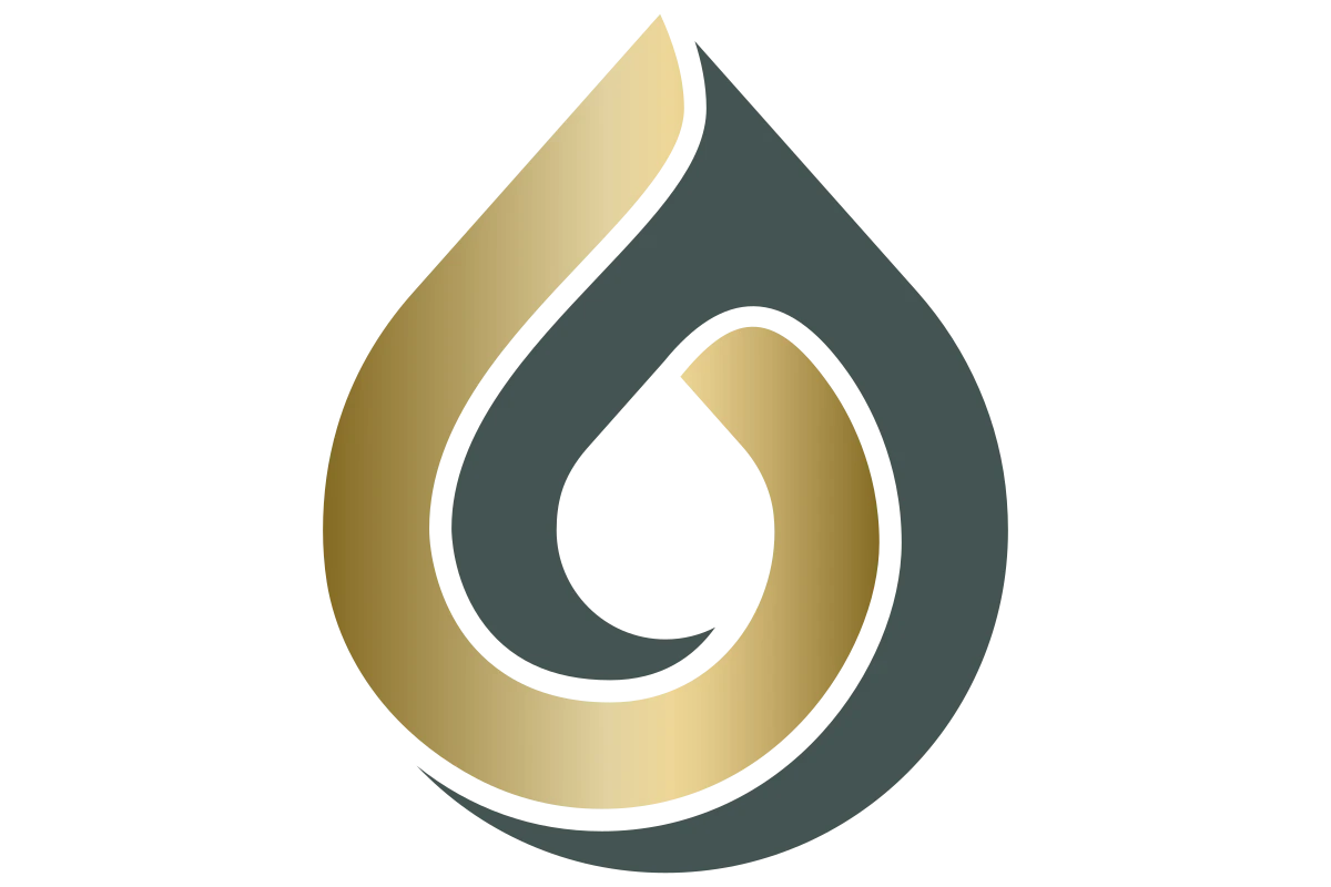 Elegant Luxury Water Drop Logo for Plumbing Services